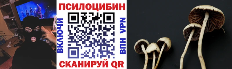 Галлюциногенные грибы ЛСД  Грязи 